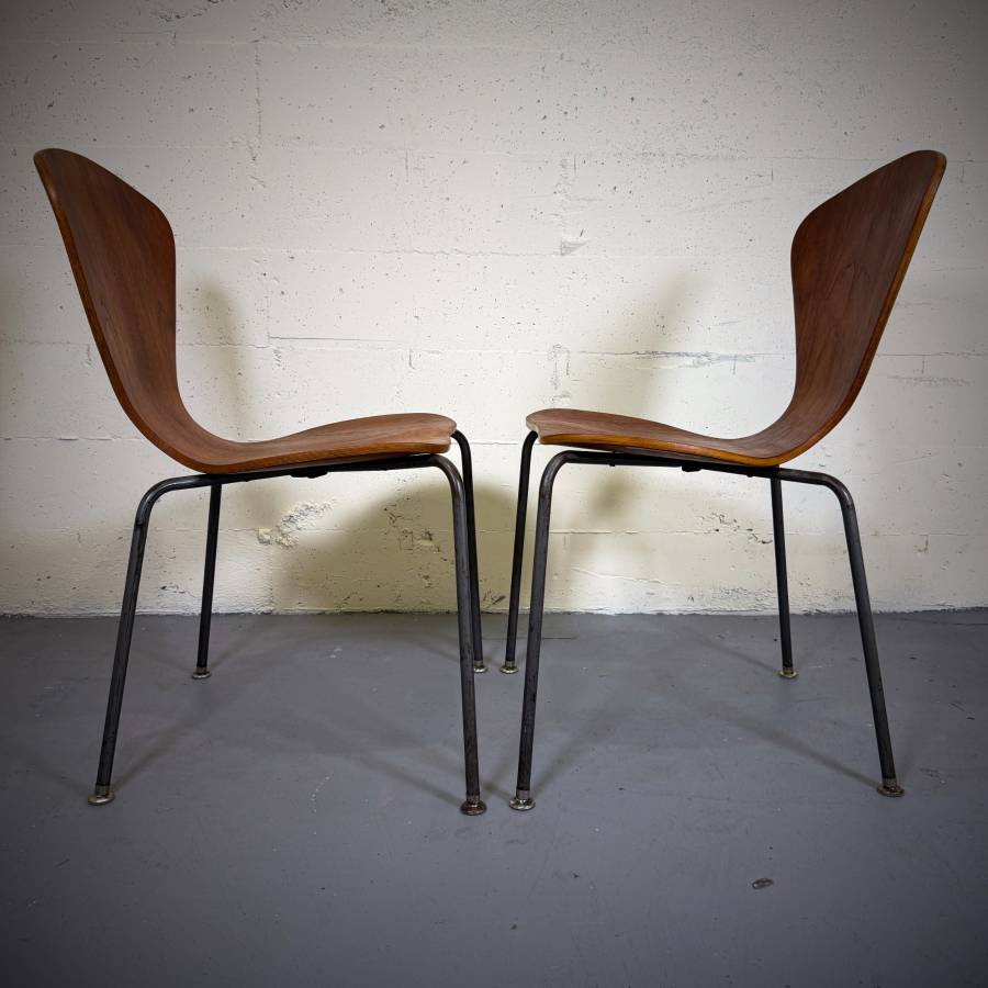 Pair of mid century modern Arne Jacobsen style chairs — photograph 5 of 6